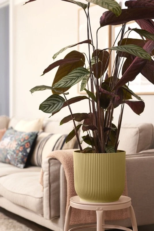 Elho Bloempot Vibes Fold Rond Wielen 35cm Geel - Afbeelding 5