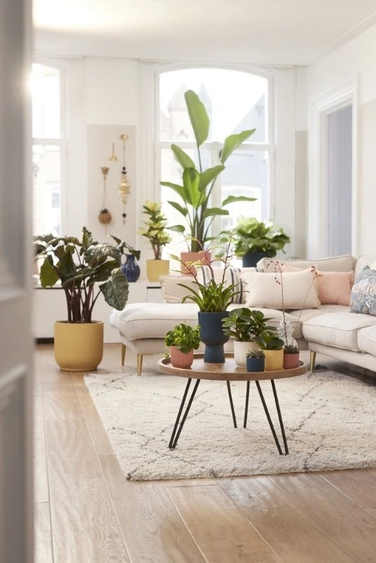 Elho Bloempot Vibes Fold Rond Wielen 35cm Geel - Afbeelding 6