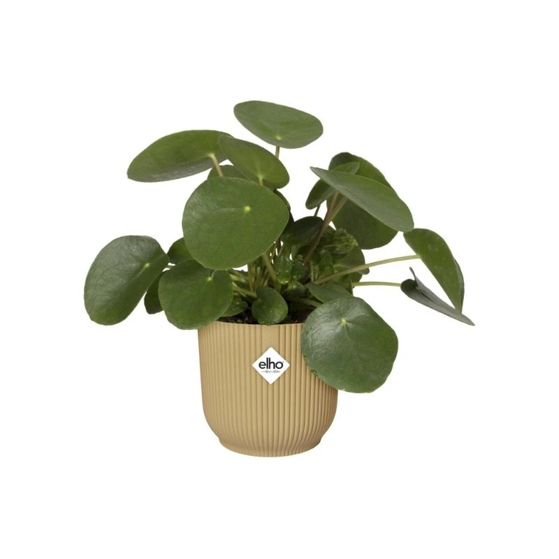 Elho Bloempot Vibes Fold Rond Wielen 35cm Geel - Afbeelding 2