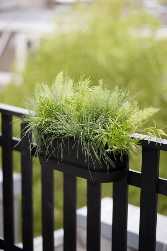 Elho Plantenbak Greenville Easy Balcony 52cm Zwart - Afbeelding 4