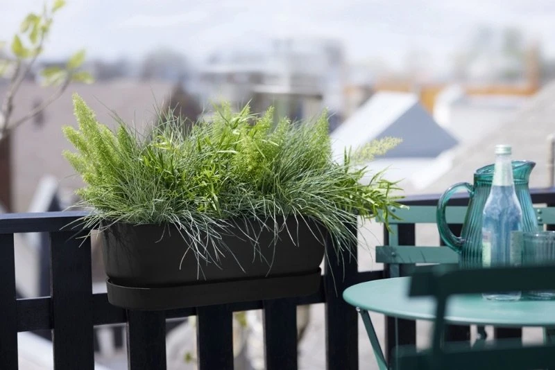 Elho Plantenbak Greenville Easy Balcony 52cm Zwart - Afbeelding 5