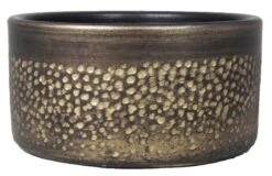 Floran Schaal Emma D29 H14cm Goud