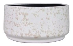 Floran Schaal Roxy D23/25 H13cm Lichtgroen